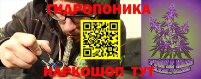 шишки Тулун