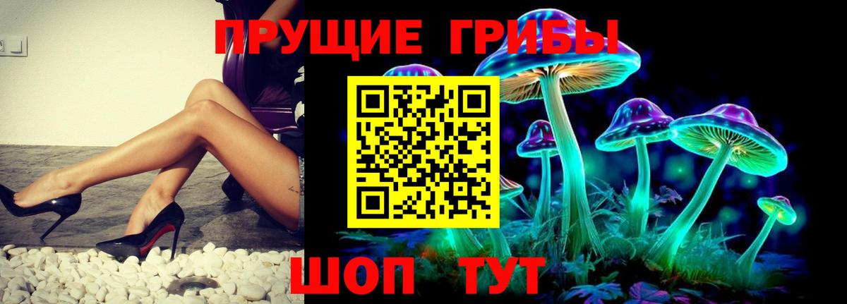 Луга  наркотики  Вход с VPN  Галлюциногенные грибы Psilocybine cubensis 