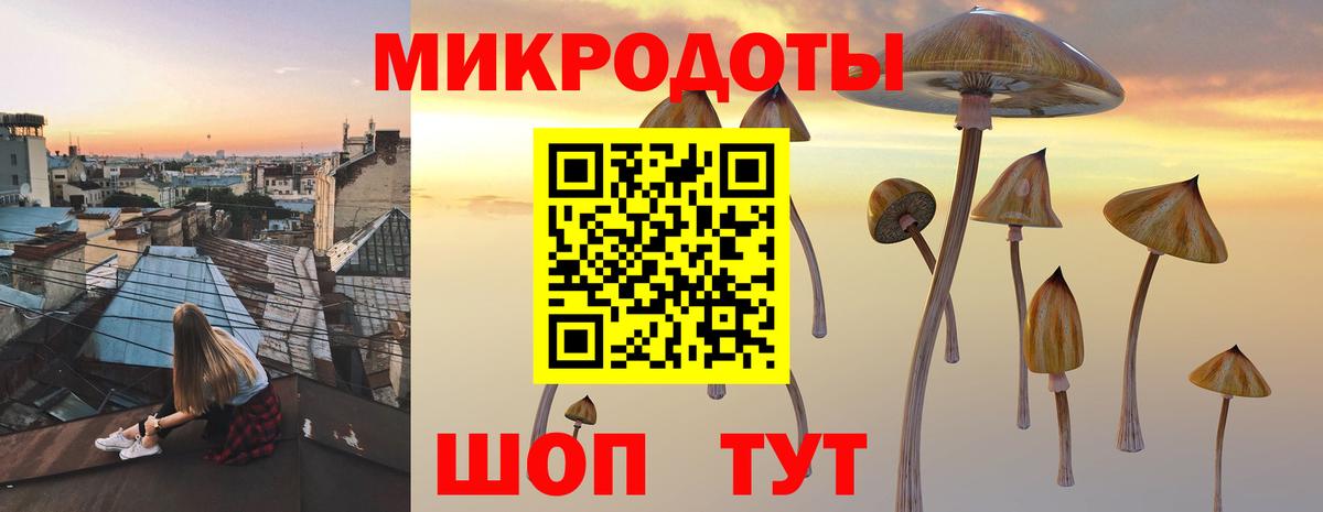 Галлюциногенные грибы Magic Shrooms Луга